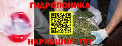 прущие грибы Будённовск