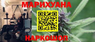 прущие грибы Будённовск