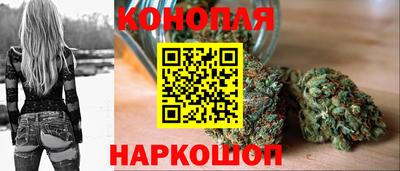 прущие грибы Будённовск