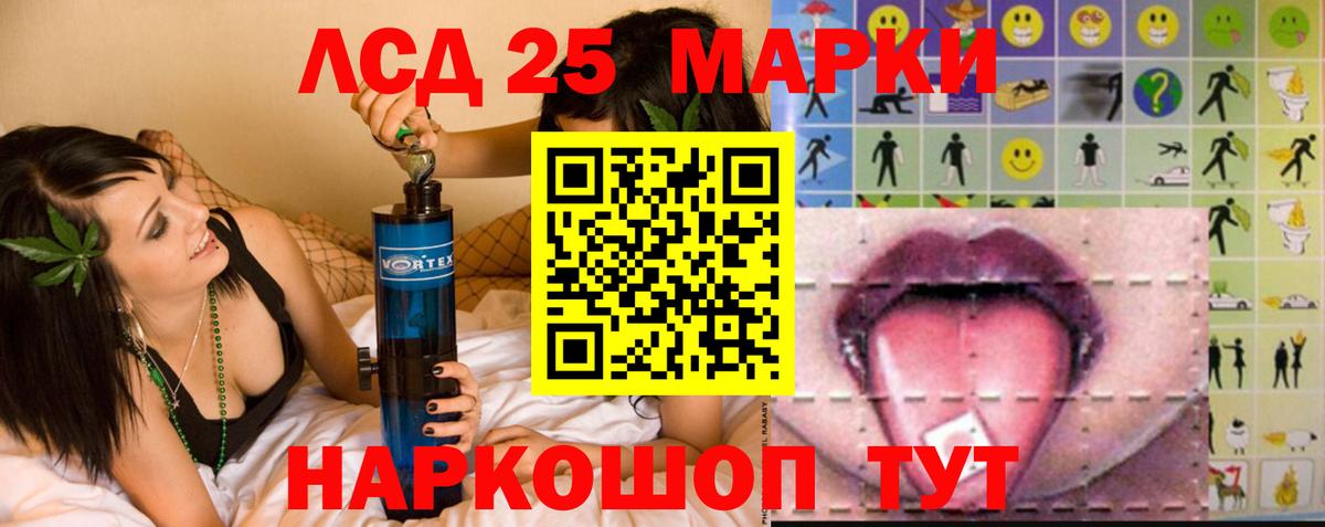 Псилоцибиновые грибы Тамбов