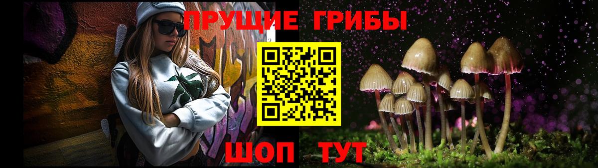 Галлюциногенные грибы Cubensis Тамбов