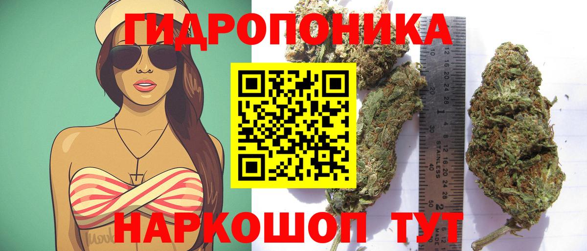 Тамбов  Канабис SATIVA & INDICA  Вход с VPN  Канабис White Widow 
